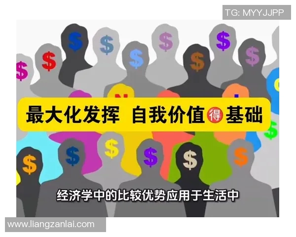 探索vs厂28的魅力与价值，揭示其在市场中的独特地位与影响力